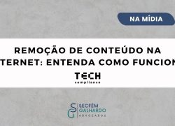 Remoção de conteúdo na Internet: entenda como funciona